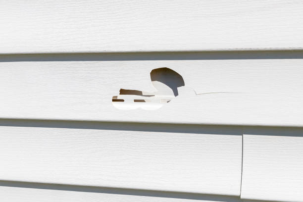 Best Insulated Siding Installation  in Union City, OH