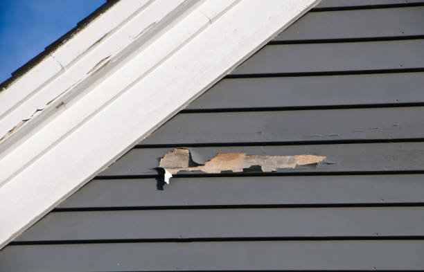 Best Stucco Siding  in Union City, OH
